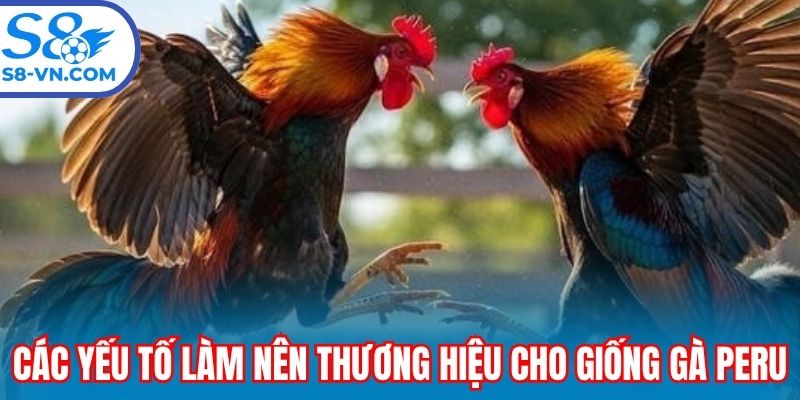 Các yếu tố làm nên thương hiệu cho giống gà Peru