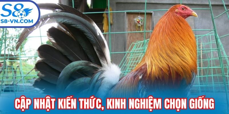 Cập nhật kiến thức, kinh nghiệm chọn giống cho tân binh