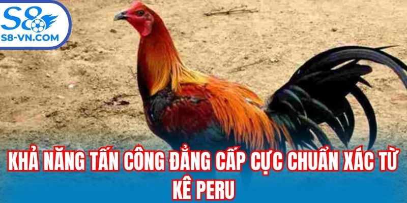 Khả năng tấn công đẳng cấp cực chuẩn xác từ kê Peru